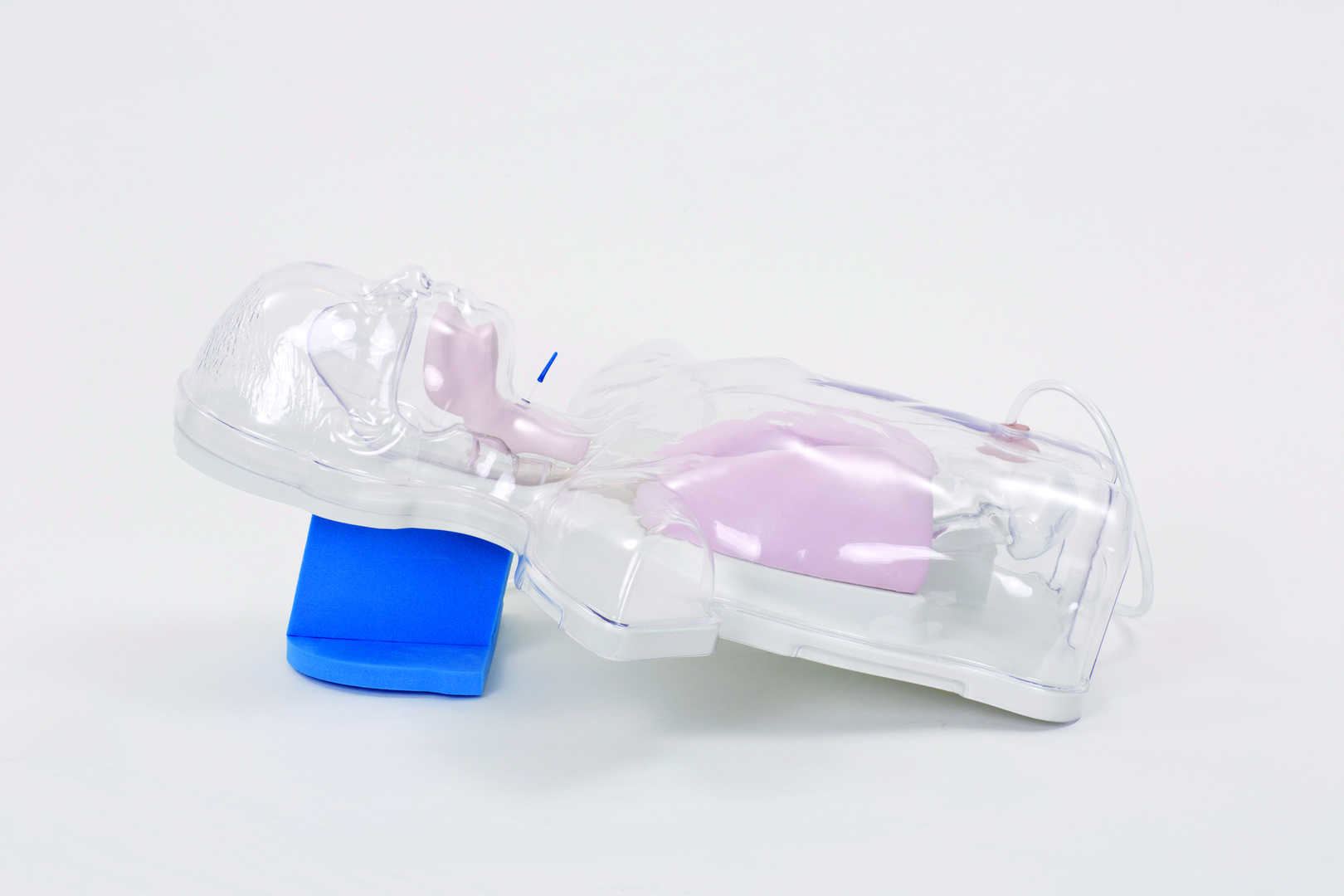 Pediatric Transparent Nasal Feeding and Gastric Lavage Model 