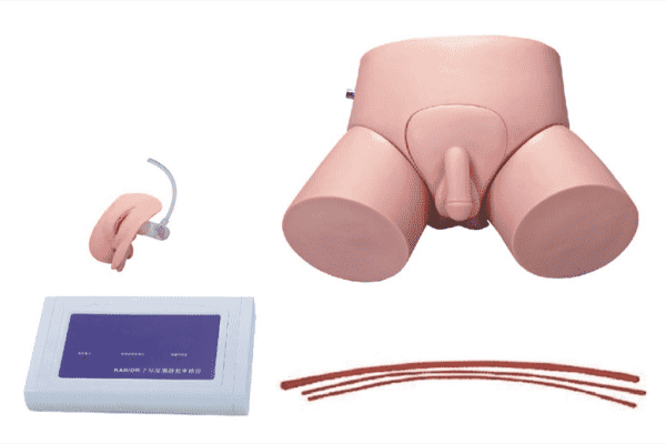 Electronic Urethral Catheterization and Enema Training Simulator